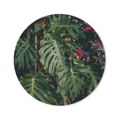Produktbild von MuchoWow® Mauspad Mousepad Monstera (Lochpflanze) Hintergrund 20x20 cm - Mousepads - Maus Mat - Pad - Mausunterlage - Schreibtischmatte