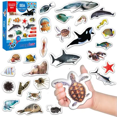 Zdjęcie produktu dla Magnesy edukacyjne dla małych dzieci – 30 magnesów przedstawiających zwierzęta morskie i oceaniczne, zabawka edukacyjna