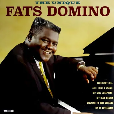 Produktbild von Fats Domino: Der Einzigartige