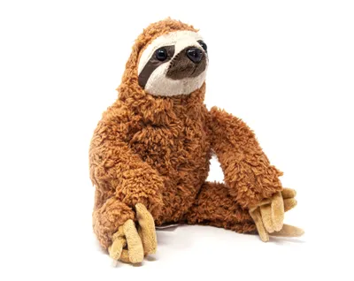 A plush sloth toy is sitting on a white background.