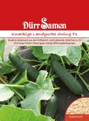 Produktbild von Dürr-Samen - Knackige Landgurke Swing F1 - Saatgut - 0912