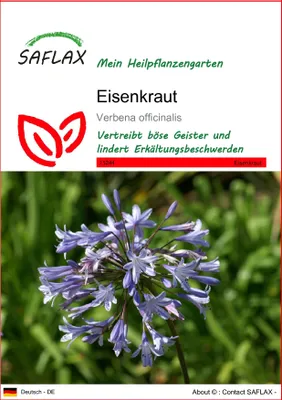 Produktbild von SAFLAX - Eisenkraut - Verbena officinalis - 250 Samen