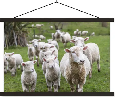 Produktbild von MuchoWow® Textilposter Schafe - Gras - Lamm 60x40 cm mit schwarzem Rahmen - Hölzernes