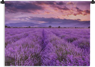 Produktbild von MuchoWow® Wandteppich Wandbehang Lavendel - Lila - Blumen - Feld 150x112.50 cm Tapisserie Dekoration Wandtuch - Wanddecke - Wandteppiche
