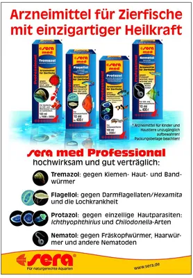 Produktbild von sera med Professional Nematol 50 ml - Fischmedizin gegen Nematoden im Aquarium