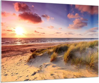 Produktbild von Bilder auf glas - Meer Strand Düne - 100x70cm - Glasbilder - Wandbilder - Kunstdruck - zum Aufhängen bereit - Wanddekoration aus Glas - Glas Bilder - Wandbild auf Glas - Einteilig - GAA100x70-3540