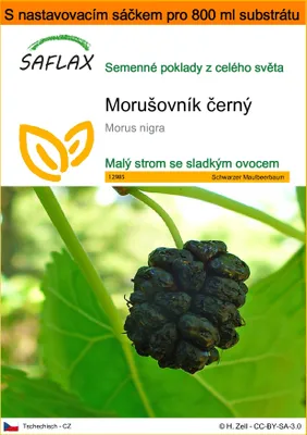Obrázek produktu pro SAFLAX Garden in the bag - Morušovník černý - Morus nigra - 200 Semena - S pěstebním substrátem v praktickém samovztyčovacím sáčku