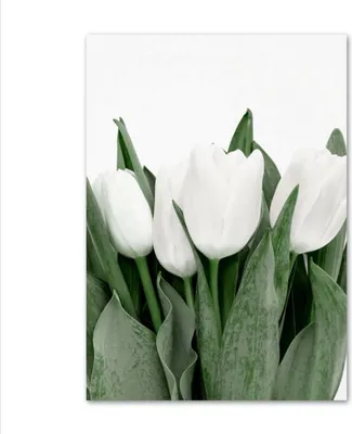 Produktbild von TPFLiving Kunstdruck LW-42 (OHNE RAHMEN) Poster - Leinwand - Wandbild - Hochauflösender Giclée-Druck, langlebig und hochwertig - Blumen und Blätter in 15 Motiven und 16 Größen zur Auswahl -  - Größe: 15x20cm