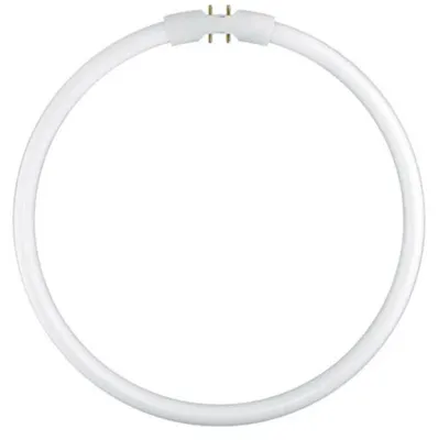 Produktbild von Osram Lumilux T5 FC 22 W/840 Leuchtstofflampe, Ringform T5, 22 Watt, 1900 lm, 4000 K,