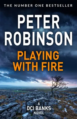Produktbild von Playing With Fire