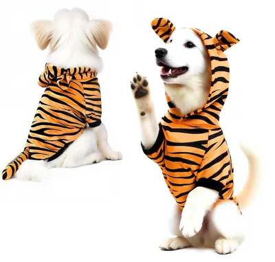 Productafbeelding van Halloween Kostuum voor Honden met Tijgerprint