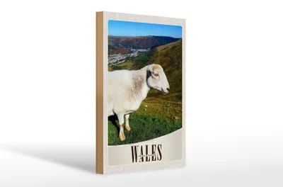 Produktbild von Holzschild Reise 20x30cm Wales United Kingdom Schaf Wiese