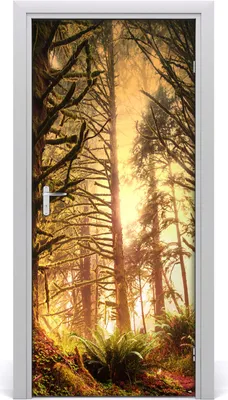 Produktbild von Tulup Türaufkleber 95x205 cm Dekorative Aufkleber Selbstklebend Wasserdichte Tapete Abnehmbar Schlafzimmer Wohnzimmer Wohnkultur - Regenwald