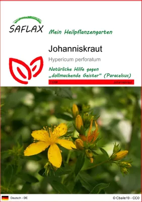 Produktbild von SAFLAX - Johanniskraut - Hypericum perforatum - 300 Samen