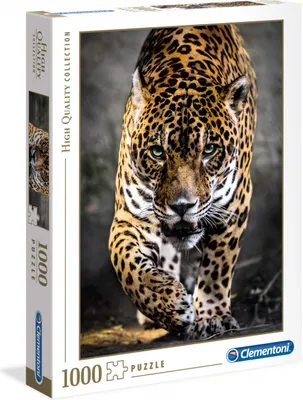 Image de Clementoni puzzle 1000 Promenade du Jaguar 39326