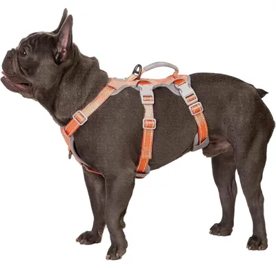 Produktbild von Ausbruchsicheres Hundegeschirr Reflektierend Gepolsterter Griff Verstellbar Orange M