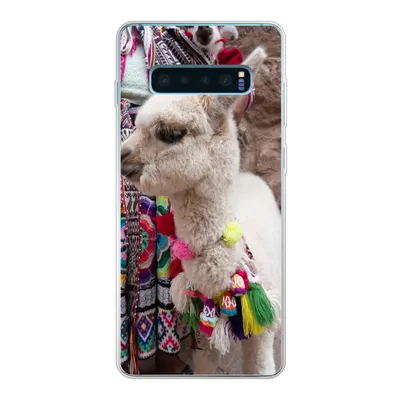 Produktbild von MuchoWow® Handyhülle Schutzhülle Hülle für Samsung Galaxy S10 Plus Alpaka - Halskette - Farben Silikon Softcase Handy Hülle - Schutzhülle