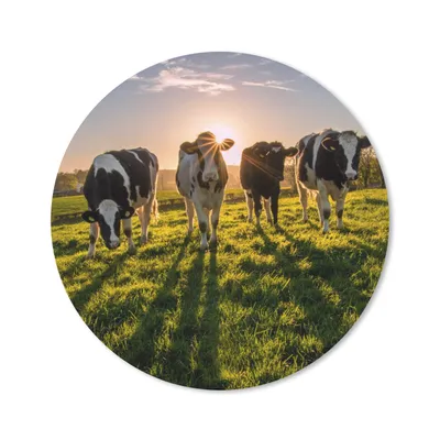Produktbild von MuchoWow® Mauspad Mousepad Kuh - Sonne - Gras 20x20 cm - Mousepads - Maus Mat - Pad - Mausunterlage - Schreibtischmatte