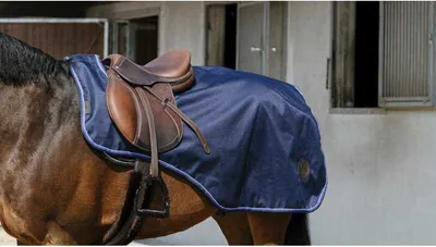 Image de Couvre-reins Equithème Classic 1200D