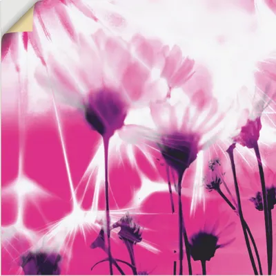 Produktbild von ARTland Wandbild, selbstklebend Pusteblume abstrakt Größe: 50x50 cm