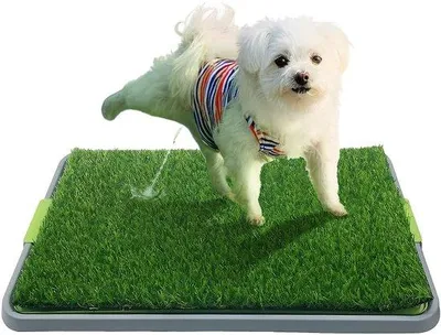 Imagen del producto de Recipiente para orina de perros - Fácil de limpiar - Césped artificial - Ideal para perros que viven en casa - Para perros pequeños - Diseño de césped artificial de alta calidad