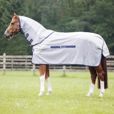 Produktbild von Bucas Regen-/Fliegendecke Buzz-off Rain & Neck Silver/Blue 130