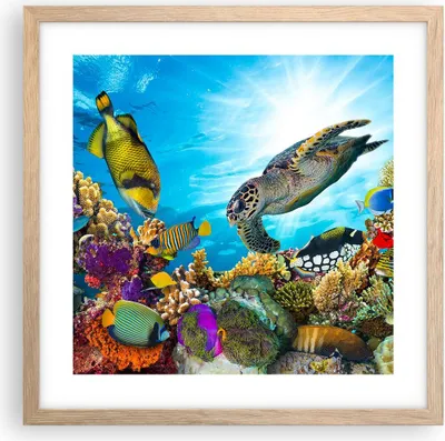 Produktbild von Gerahmtes Poster - Rahmen in heller Eiche - Riff Koralle Fisch - 40x40 cm - Wand Bild - Wanddeko - Wandbilder - Wandposter - Bilderrahmen - Bilder - Kunstdruck - Wandbild - P2NAC40x40-3704