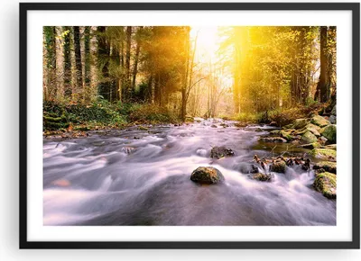 Produktbild von Gerahmtes Poster - Schwarzer Rahmen - Herbst Wald Berg Fluss - 70x50 cm - Wand Bild - Wanddeko - Wandbilder - Kunstposter - Wandposter - Bilderrahmen - Bilder - Kunstdruck - Wandbild - P2BAA70x50-0504