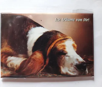 Produktbild von Magnet Hund, Ich träume von Dir!, 8 x 5,5 cm, Kühlschrankmagnet Tiere Hunde