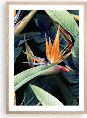 Produktbild von Gerahmtes Poster - Rahmen in heller Eiche - Pflanze Tropisch Blume - 50x70 cm - Wand Bild - Wanddeko - Wandbilder - Kunstposter - Wandposter - Bilderrahmen - Bilder - Kunstdruck - P2NPA50x70-5093
