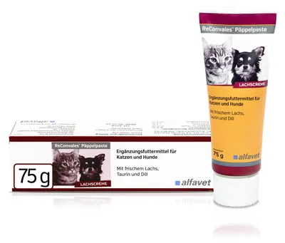 Produktbild von Alfavet ReConvales Päppelpaste 75 g | Energieversorgung für Hunde & Katzen