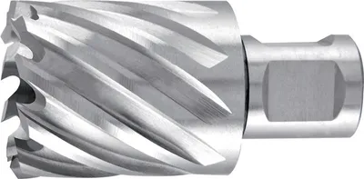 Produktbild von RUKO 108219, Bohrer, Kernbohrer-Bit, Drehung der rechten Hand, 1,9 cm, 63 mm, Aluminium, Messing, Bronze, Eisenguss, Kunststoff, Stahl