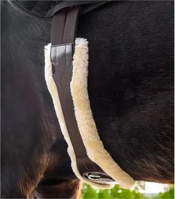 Image de Waldhausen Sangle de selle en cuir avec ECO Wool
