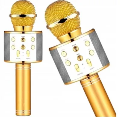 Obrázok produktu pre Bezdrôtový mikrofón Bluetooth Karaoke CE2-51maikefeng2882 s reproduktorom
