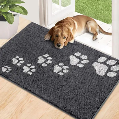 Image de Tapis d'entrée intérieur, 50 x 80 cm, gris foncé, antidérapant, lavable