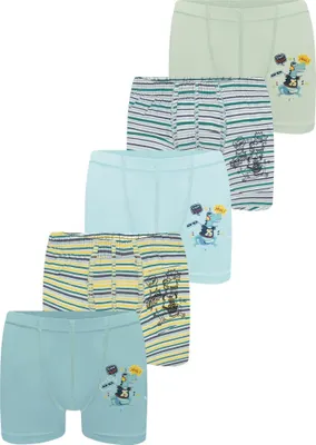 Produktbild von 5 Jungen Boxershorts Unterhosen aus Baumwolle Unterwäsche - Dinosaurier