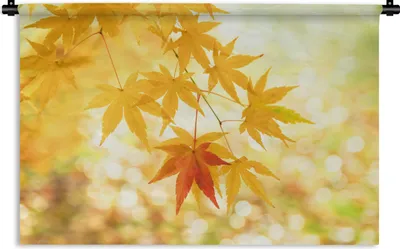 Produktbild von MuchoWow® Wandteppich Wandbehang Blätter des japanischen Ahorns im Herbst 150x100 cm Tapisserie Dekoration Wandtuch - Waschbar - Tapisserien - Wand-Decke