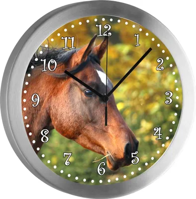 Produktbild von Funkuhr, Kinder Wanduhr, Kinderuhr, Kinderzimmer  Vollblut