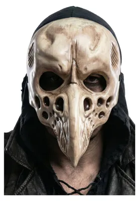 Produktbild von Rabenschädel Maske Halbmaske im Tierschädel-Look für Erwachsene – Skelettierte Raben Maske für Halloween Fasching Karneval Voodoo Kostüm