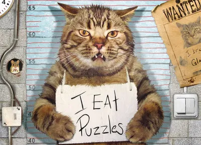 Produktbild von Feline Felon