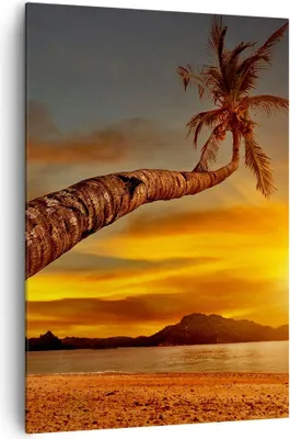 Produktbild von Bild auf Leinwand - Leinwandbild - Einteilig - Palme Landschaft Sonne - 70x100cm - Wand Bild - Wanddeko - Wandbilder - Leinwanddruck - Wanddekoration - Leinwand bilder - Wandbild - PA70x100-0162