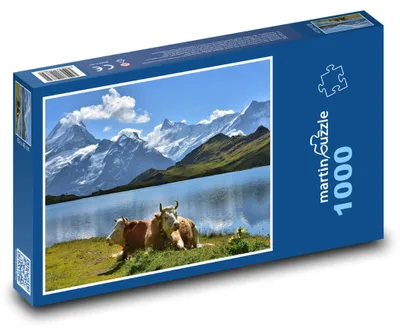 Produktbild von Puzzle 1000 Kühe am Bergsee - martinpuzzle