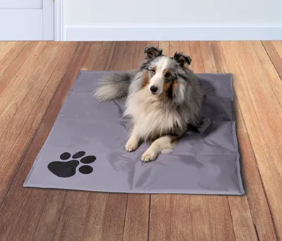 Kühlmatte Für Hunde - Selbstkühlend, Waschbar, Kein Wasser Nötig, Größen 45x58 Cm Bis 71x101 Cm