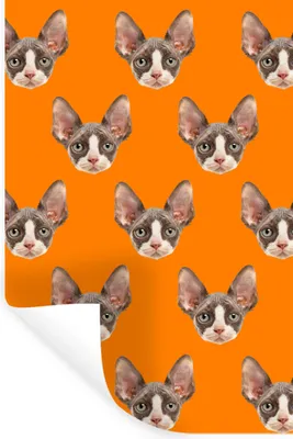 Produktbild von MuchoWow® - Sticker - Dekorfolie