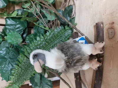 A stuffed toy vulture is perched on branches amidst artificial foliage.