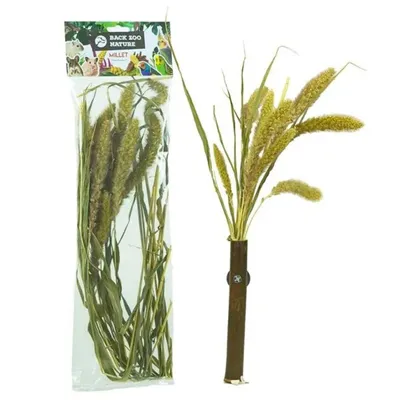 Immagine prodotto di Back Zoo Nature | Bouquet di cereali Setaria | per tutti i pappagalli 30g
