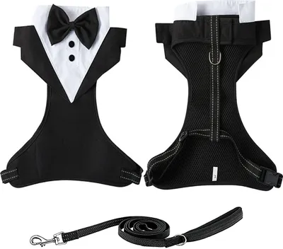 Produktbild von Hundekostüm Hund Smoking Set, Objekt formale Hundemantel