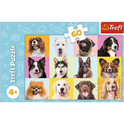 Obrázok produktu pre Trefl 17374, 60 kusov, Zvieratá, 4 rok / roky