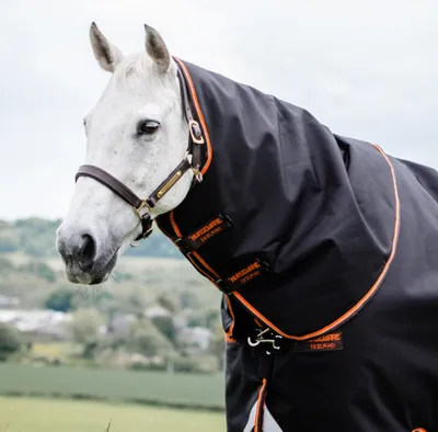 Produktbild von Horseware Rambo Supreme Hood 150g - Black/Orange
