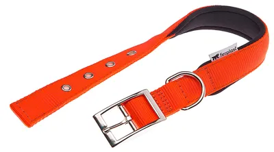 Productafbeelding van Obojek, nylon, DAYTONA, model C, 45 cm x 25 mm, oranje, verpakking: 1 stuk
